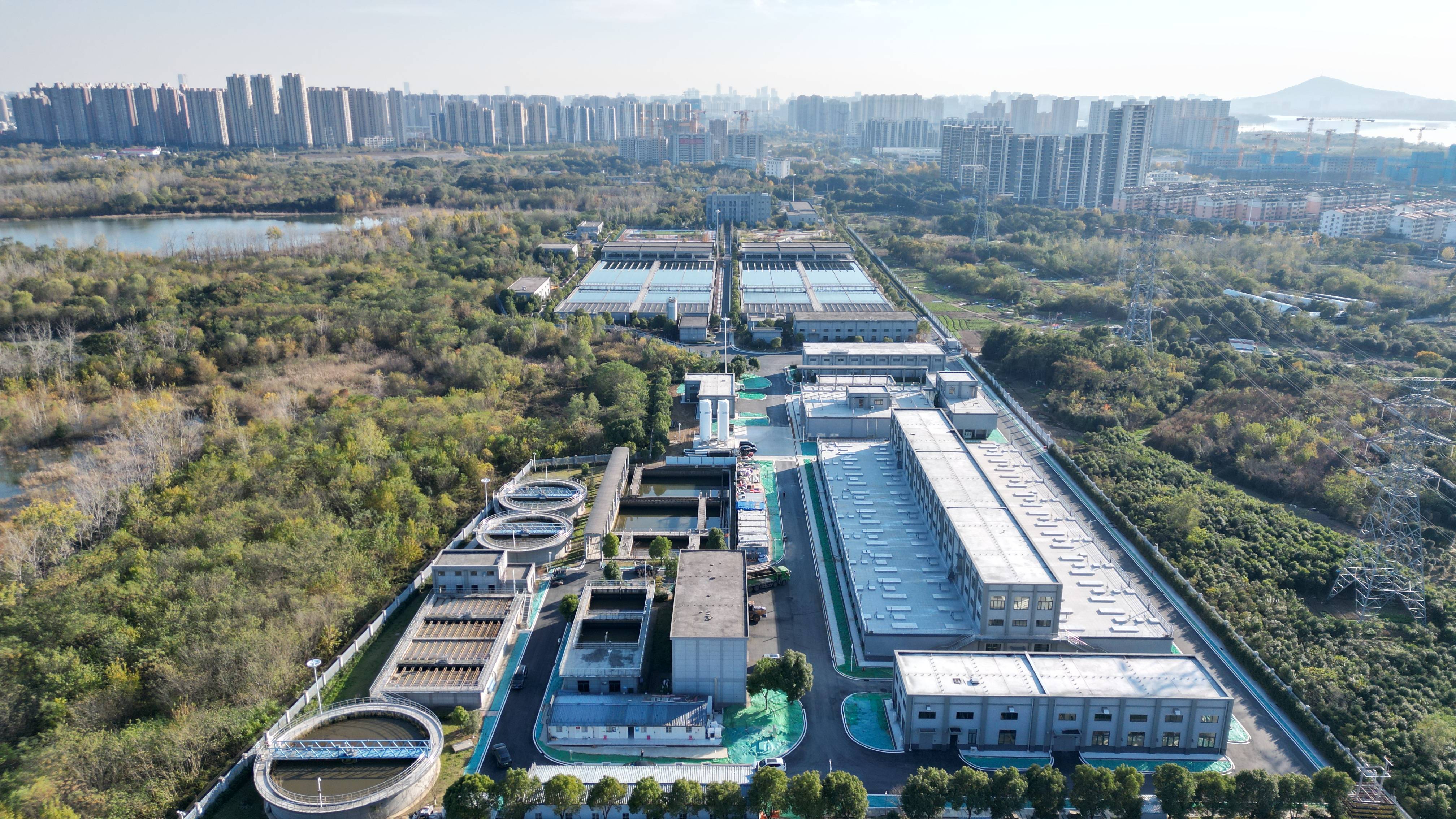 合肥专业企业价值增长(合肥市重点企业产业目录)